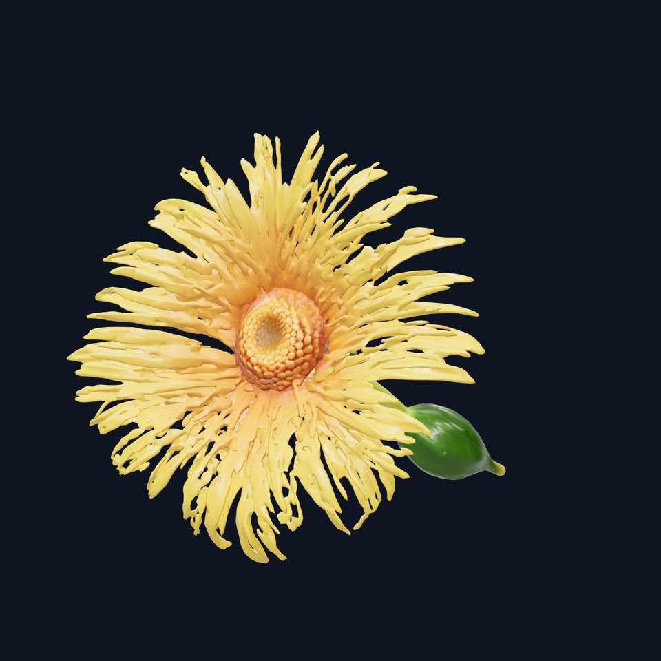 Yellow Aster Sunny Bloom model pack